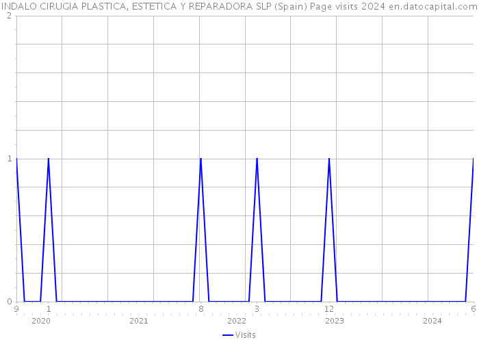 INDALO CIRUGIA PLASTICA, ESTETICA Y REPARADORA SLP (Spain) Page visits 2024 