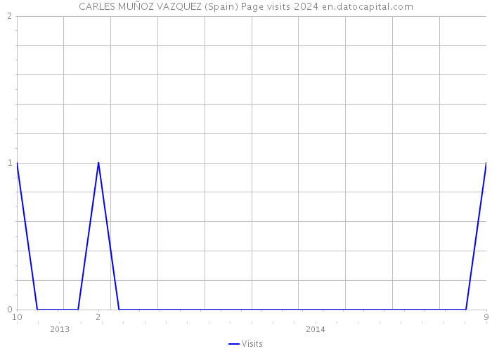 CARLES MUÑOZ VAZQUEZ (Spain) Page visits 2024 