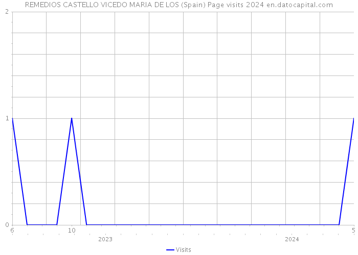 REMEDIOS CASTELLO VICEDO MARIA DE LOS (Spain) Page visits 2024 