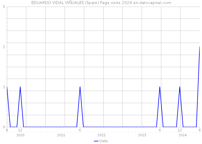 EDUARDO VIDAL VIÑUALES (Spain) Page visits 2024 