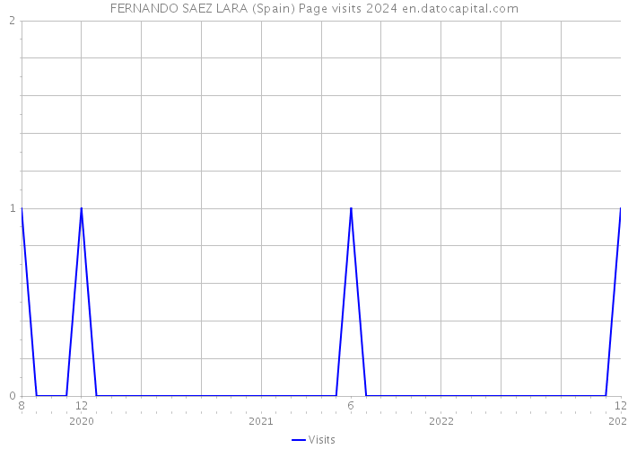 FERNANDO SAEZ LARA (Spain) Page visits 2024 
