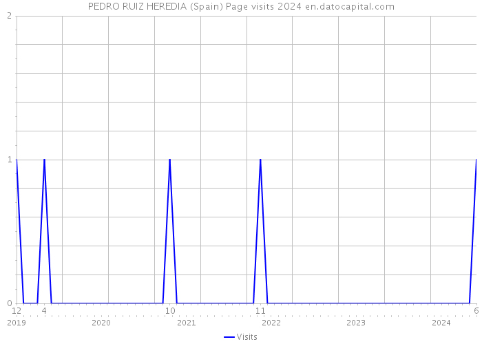 PEDRO RUIZ HEREDIA (Spain) Page visits 2024 