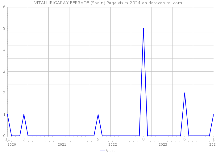 VITALI IRIGARAY BERRADE (Spain) Page visits 2024 