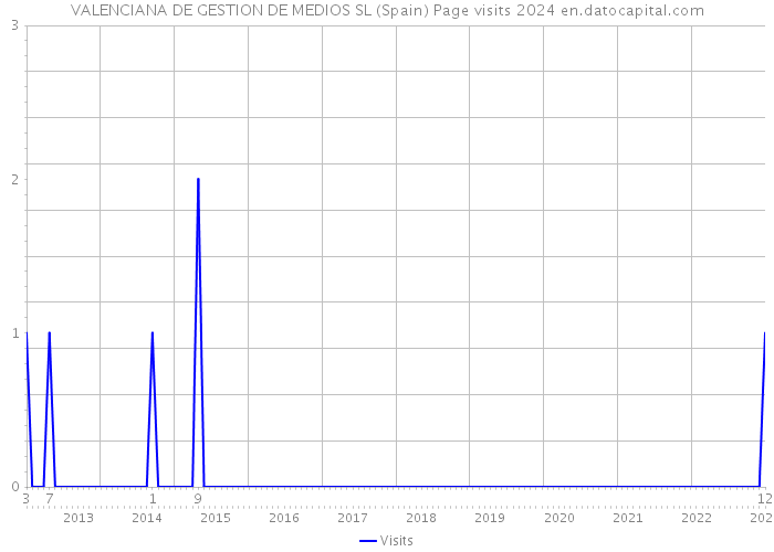 VALENCIANA DE GESTION DE MEDIOS SL (Spain) Page visits 2024 