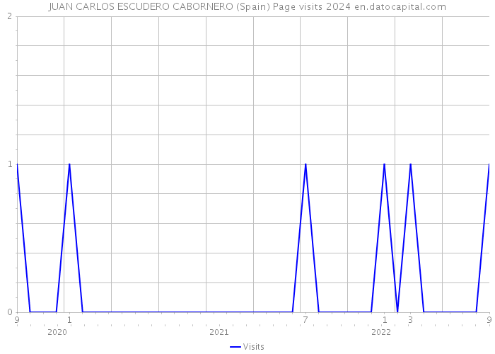 JUAN CARLOS ESCUDERO CABORNERO (Spain) Page visits 2024 