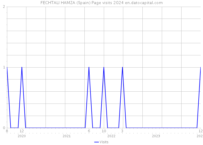 FECHTALI HAMZA (Spain) Page visits 2024 