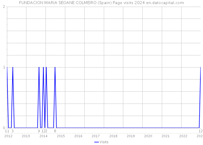 FUNDACION MARIA SEOANE COLMEIRO (Spain) Page visits 2024 