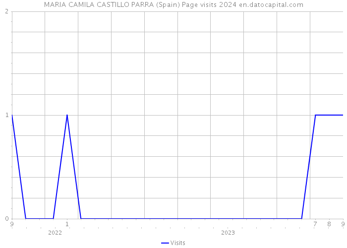 MARIA CAMILA CASTILLO PARRA (Spain) Page visits 2024 
