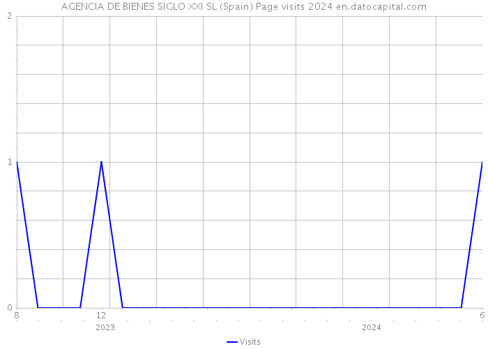 AGENCIA DE BIENES SIGLO XXI SL (Spain) Page visits 2024 