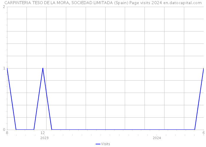 CARPINTERIA TESO DE LA MORA, SOCIEDAD LIMITADA (Spain) Page visits 2024 