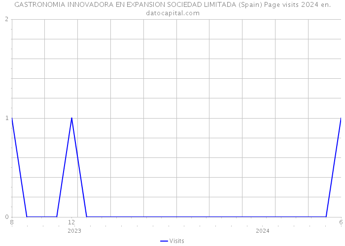 GASTRONOMIA INNOVADORA EN EXPANSION SOCIEDAD LIMITADA (Spain) Page visits 2024 