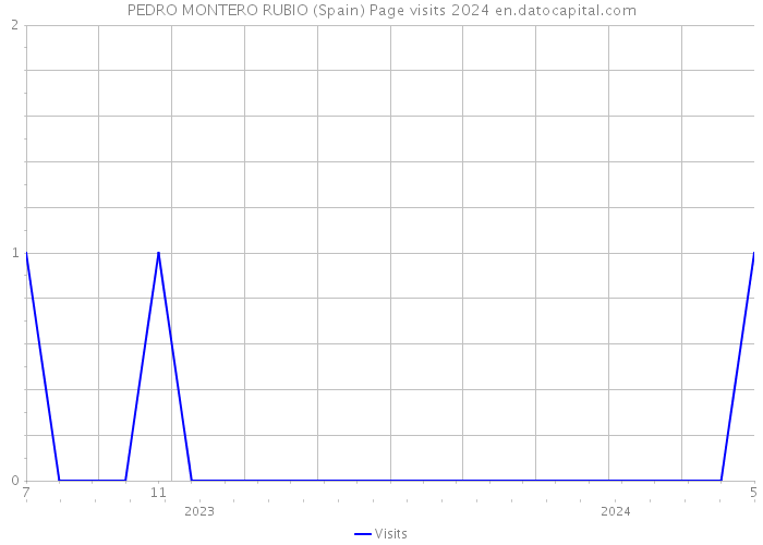 PEDRO MONTERO RUBIO (Spain) Page visits 2024 