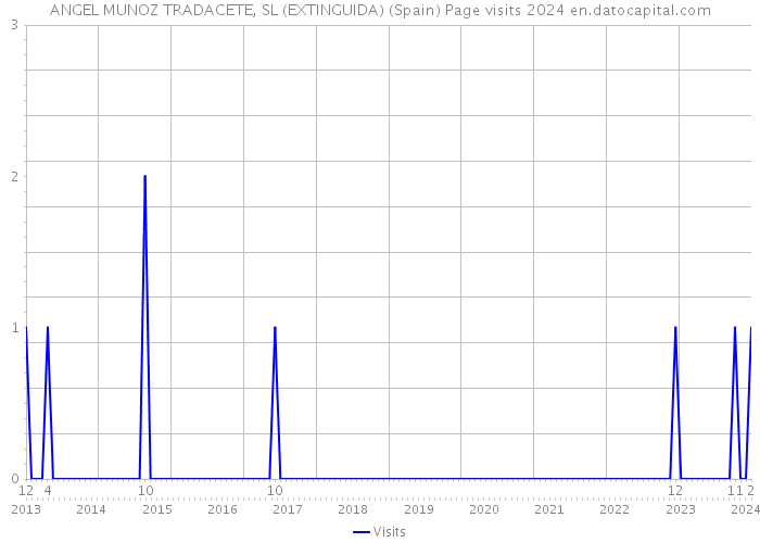 ANGEL MUNOZ TRADACETE, SL (EXTINGUIDA) (Spain) Page visits 2024 