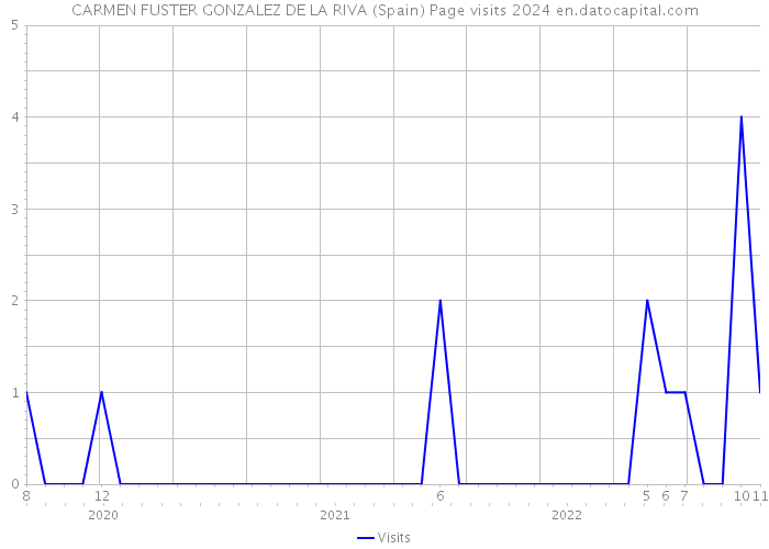 CARMEN FUSTER GONZALEZ DE LA RIVA (Spain) Page visits 2024 