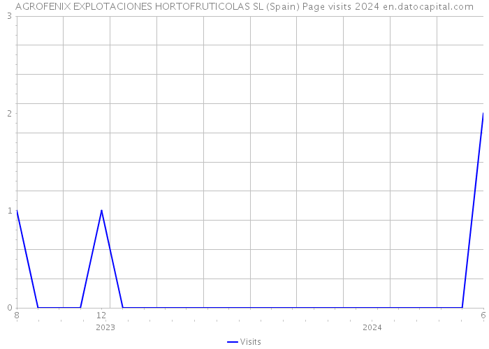 AGROFENIX EXPLOTACIONES HORTOFRUTICOLAS SL (Spain) Page visits 2024 