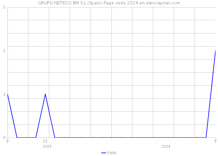 GRUPO NETECO BM S.L (Spain) Page visits 2024 