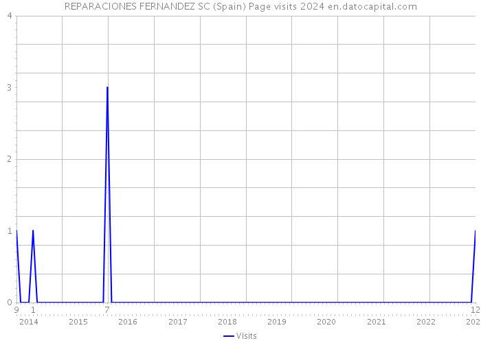 REPARACIONES FERNANDEZ SC (Spain) Page visits 2024 