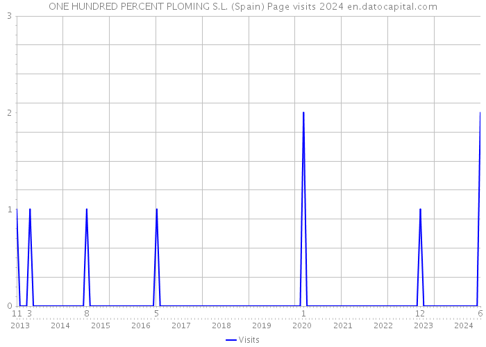 ONE HUNDRED PERCENT PLOMING S.L. (Spain) Page visits 2024 