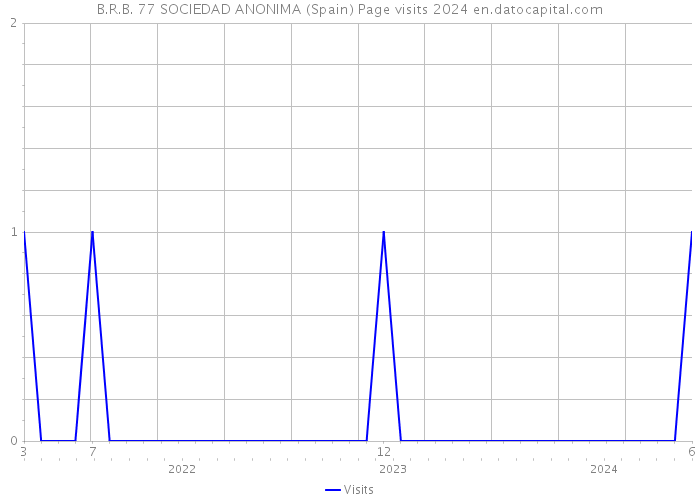 B.R.B. 77 SOCIEDAD ANONIMA (Spain) Page visits 2024 