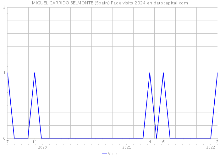 MIGUEL GARRIDO BELMONTE (Spain) Page visits 2024 