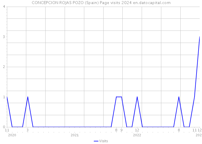 CONCEPCION ROJAS POZO (Spain) Page visits 2024 