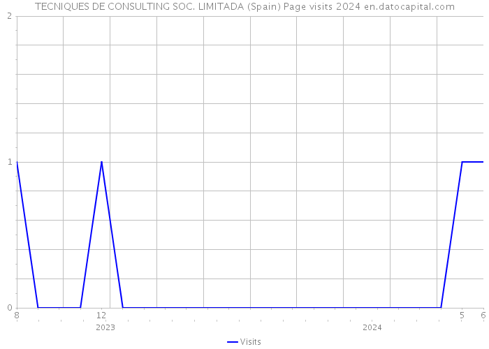 TECNIQUES DE CONSULTING SOC. LIMITADA (Spain) Page visits 2024 