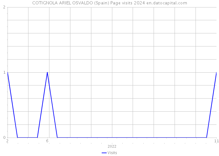 COTIGNOLA ARIEL OSVALDO (Spain) Page visits 2024 