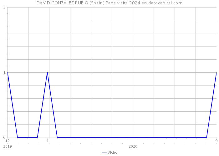 DAVID GONZALEZ RUBIO (Spain) Page visits 2024 