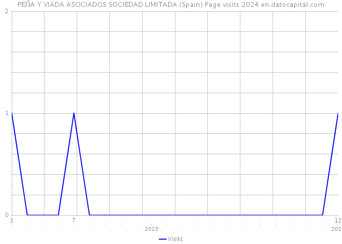 PEÑA Y VIADA ASOCIADOS SOCIEDAD LIMITADA (Spain) Page visits 2024 