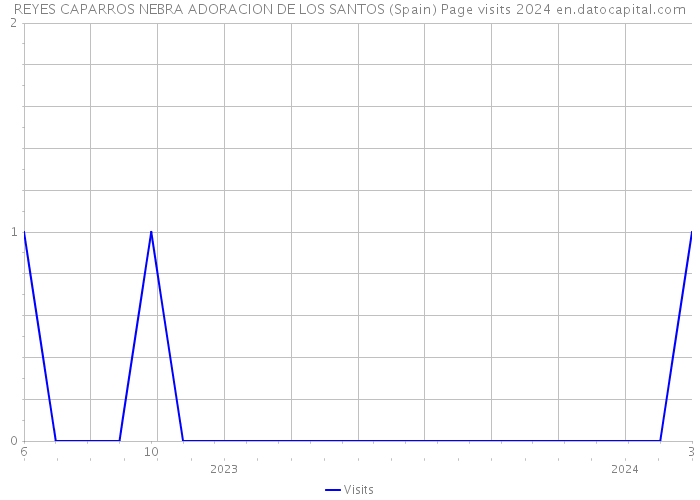 REYES CAPARROS NEBRA ADORACION DE LOS SANTOS (Spain) Page visits 2024 