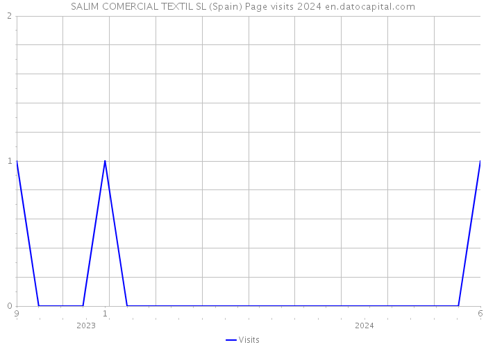 SALIM COMERCIAL TEXTIL SL (Spain) Page visits 2024 