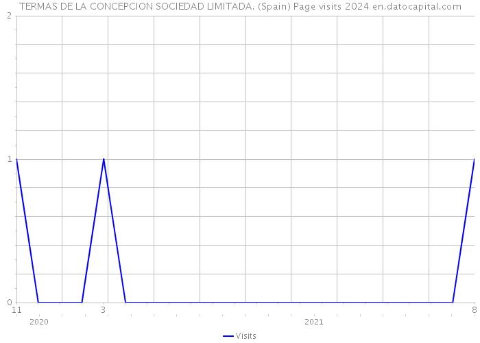 TERMAS DE LA CONCEPCION SOCIEDAD LIMITADA. (Spain) Page visits 2024 