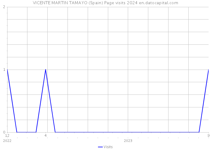 VICENTE MARTIN TAMAYO (Spain) Page visits 2024 