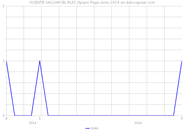 VICENTE VALCARCEL RUIZ (Spain) Page visits 2024 