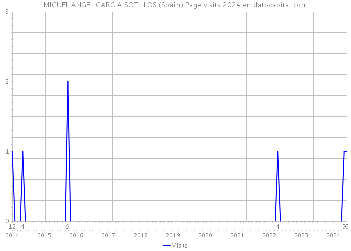 MIGUEL ANGEL GARCIA SOTILLOS (Spain) Page visits 2024 