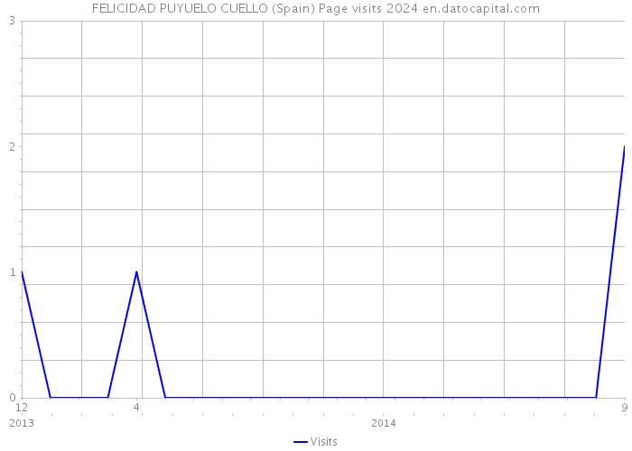FELICIDAD PUYUELO CUELLO (Spain) Page visits 2024 
