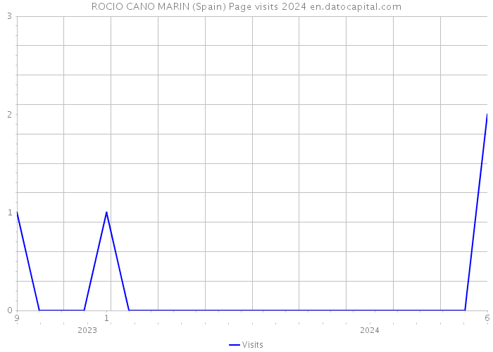 ROCIO CANO MARIN (Spain) Page visits 2024 