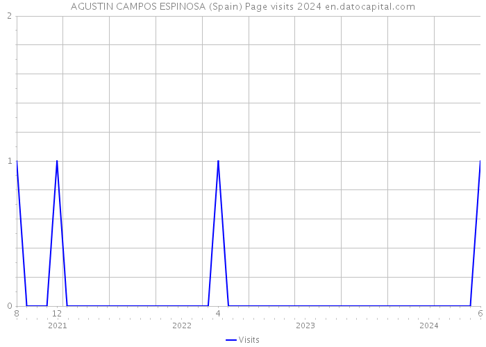 AGUSTIN CAMPOS ESPINOSA (Spain) Page visits 2024 