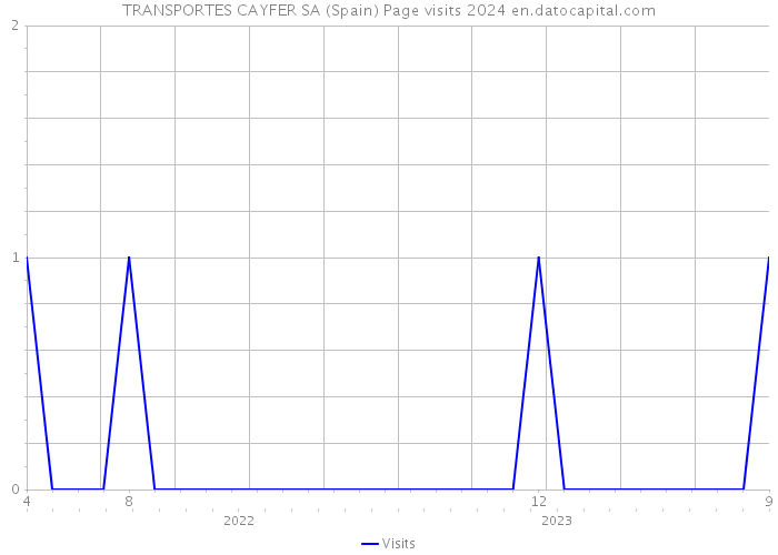TRANSPORTES CAYFER SA (Spain) Page visits 2024 