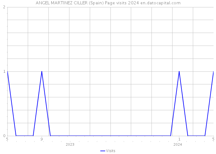 ANGEL MARTINEZ CILLER (Spain) Page visits 2024 