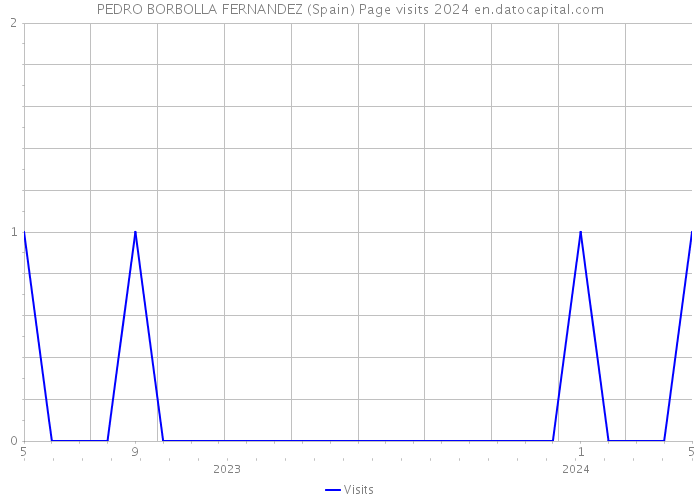 PEDRO BORBOLLA FERNANDEZ (Spain) Page visits 2024 