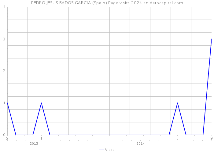 PEDRO JESUS BADOS GARCIA (Spain) Page visits 2024 