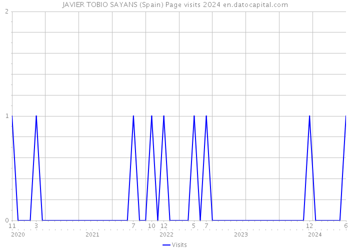 JAVIER TOBIO SAYANS (Spain) Page visits 2024 