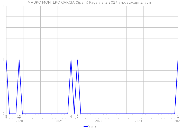 MAURO MONTERO GARCIA (Spain) Page visits 2024 