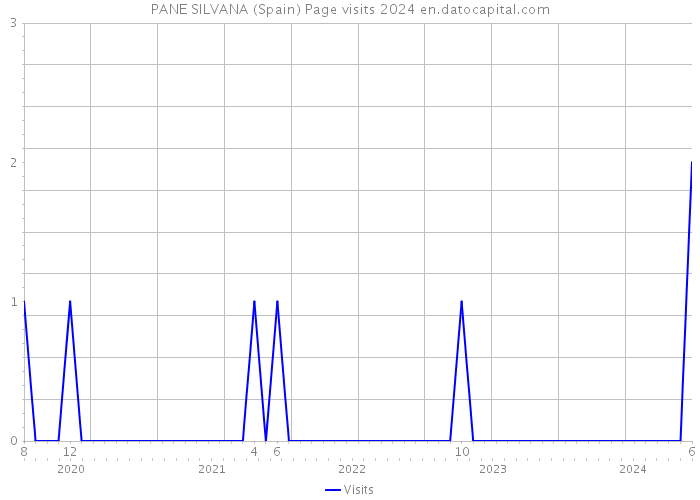 PANE SILVANA (Spain) Page visits 2024 