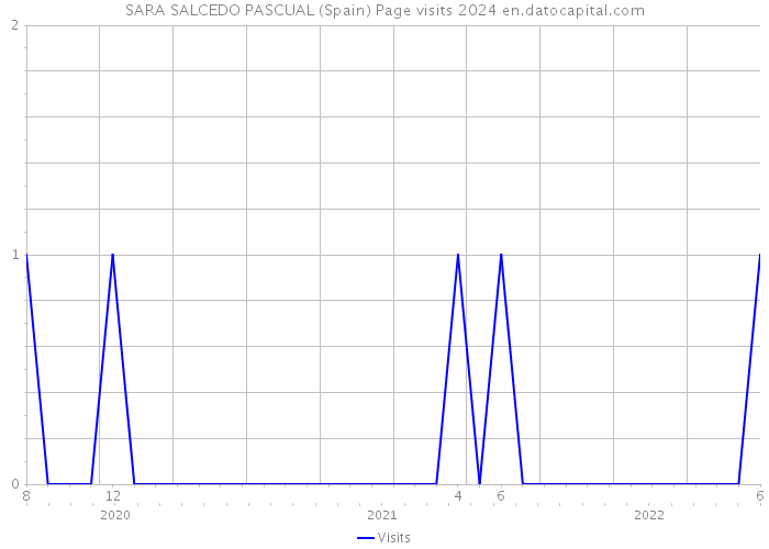SARA SALCEDO PASCUAL (Spain) Page visits 2024 