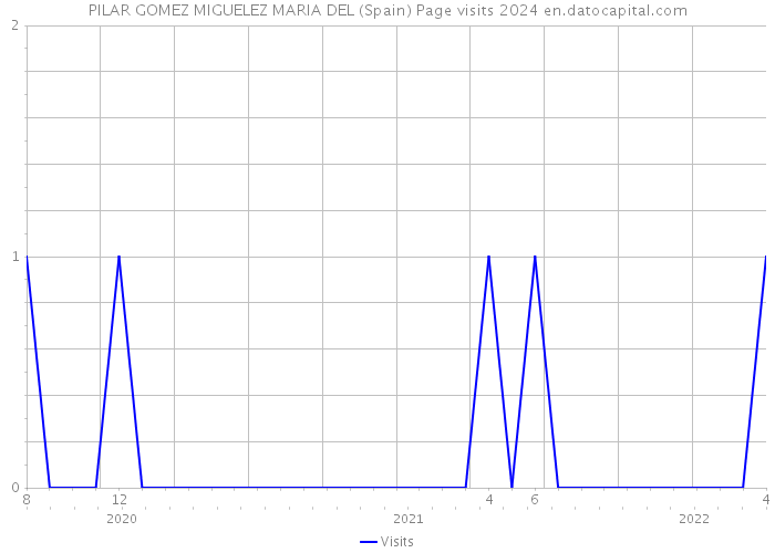 PILAR GOMEZ MIGUELEZ MARIA DEL (Spain) Page visits 2024 