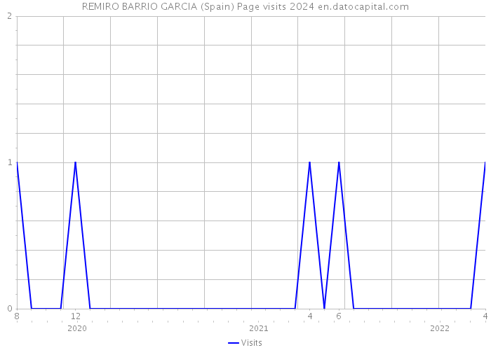 REMIRO BARRIO GARCIA (Spain) Page visits 2024 