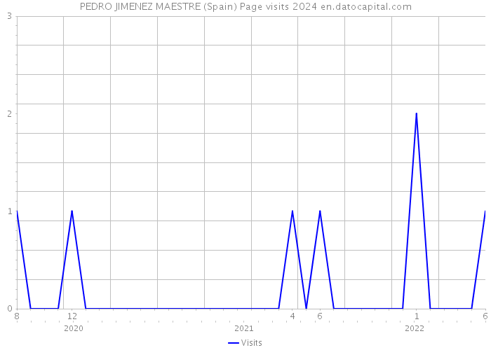 PEDRO JIMENEZ MAESTRE (Spain) Page visits 2024 