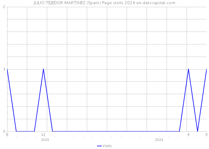 JULIO TEJEDOR MARTINEZ (Spain) Page visits 2024 